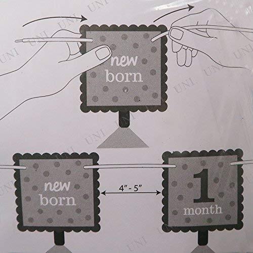 1st Birthday Girl Photo Garland - Glitter